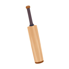 Wooden cricket bat with black handle