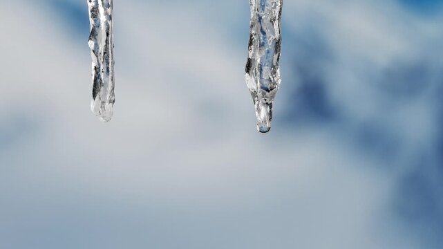Close-up of melting ice and snow icicles