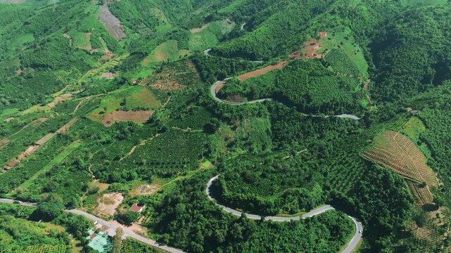 Aerial View of Dak Nue Pass Winding Through Lush Highlands, Dak Lak, Vietnam
the winding asphalt road cutting through dense tropical forests and agricultural plantations in the Central Highlands