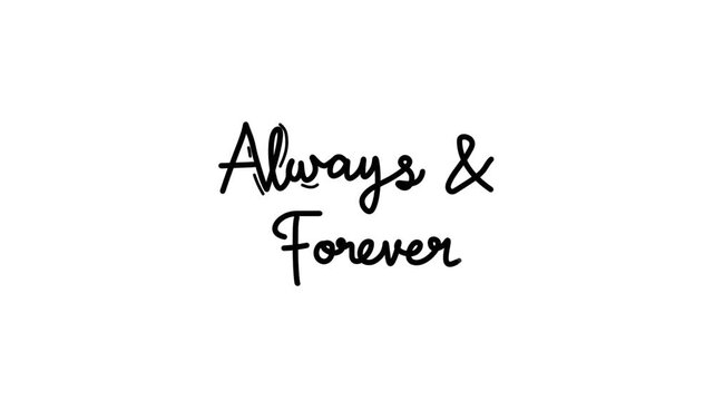 always and forever One line continuous animated typography intro outro animation video, hand drawn calligraphy monoline lettering vintage text on background single line art black type on white bg back