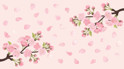 Cherry Blossom Branches with Falling Petals on Pink Background
