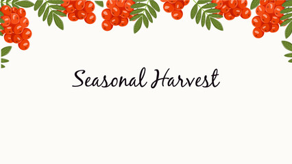 Autumn vector background with red rowan berries and green leaves forming a decorative frame. Cartoon banner with copy space for web banners, advertising, food and nature projects.