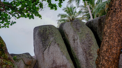 Large granite rock formations under tropical coconut palm trees at Siangau Beach, Bangka Island, Indonesia