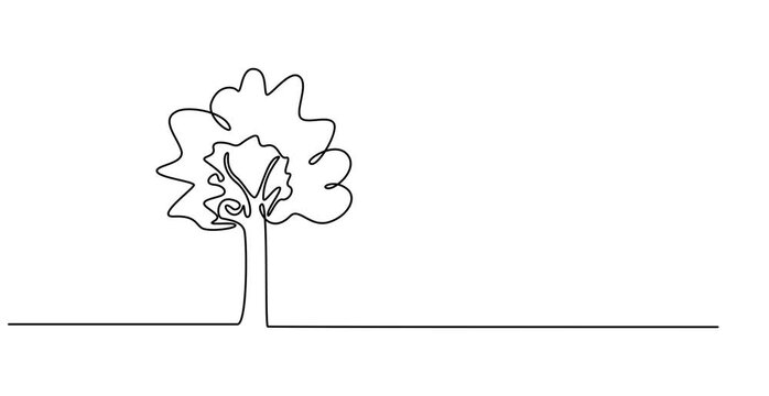 Tree sketch, one line drawing animation. Video clip with alpha channel, Animation of one line drawing tree silhouette. Continuous line self draw animated. Full length motion. Continuous video with one