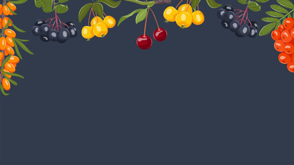 Summer vector background with mixed berries and leaves forming a colorful botanical frame. Dark blue backdrop with copy space for web banners, food advertising, social media and branding.