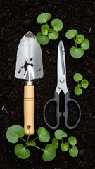Gardening tools and green leaves on dark soil background