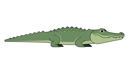 Obraz premium Cartoon green crocodile illustration with simple design