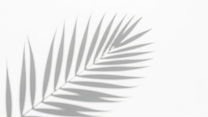 Whisk pattern on white background abstract brush