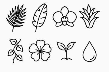 Tropical Plant Icons. Tropical Plant Diversity set in outline vector style: palm frond, banana leaf, orchid bloom, bromeliad cup, tropical vine, bright petal, lush sprout, humid droplet