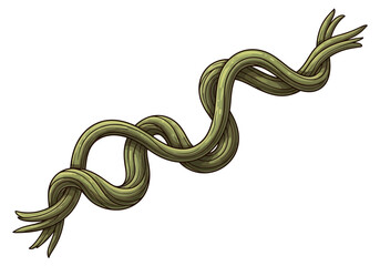 Obraz premium A twisted green vine illustration entwined with multiple stems displayed on a clean background