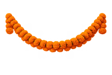 Marigold flowers garland creating festive decoration for diwali, indian festivals, pooja, and cultural celebrations, transparent background