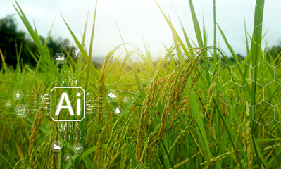 Artificial intelligence agriculture concept with green rice field and AI interface icons showing smart farming, data driven crop monitoring, precision agriculture and future food technology innovation