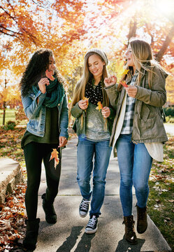 Friends, walking and girls with leaves, park and smile for hangout on holiday or laughing in nature. Outdoor, autumn season and people on trip, flare and teenagers with plant and together on break