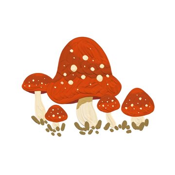 Cute red mushroom illustration isolated on white background 