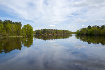 Fototapeta premium Still water mirrors green trees and a cloudy sky at a tranquil lake surrounded by forest near Dampierre en Burly. The peaceful landscape features soft spring foliage and gentle natural light.