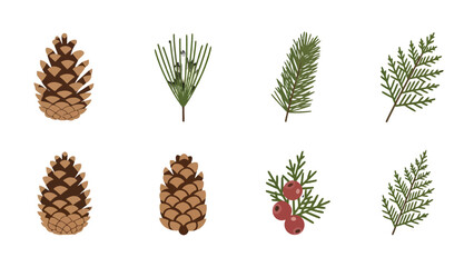 Flat vector winter botanical collection pine cones evergreen branches red berries.