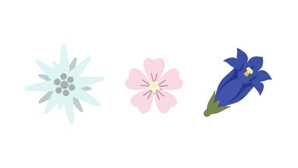 Stylized flat design illustrations of three distinct alpine flowers featuring simple shapes.