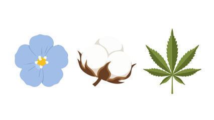 Stylized vector icons of flax flower cotton boll and cannabis leaf depicting natural plant fibers.