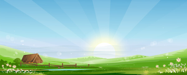 Landscape spring field,green nature with sun on blue sky in morning sunrise.Countryside rural with house cottage on hill, bloom flower,pond on grass land in summer.Beautiful bright light scenery farm