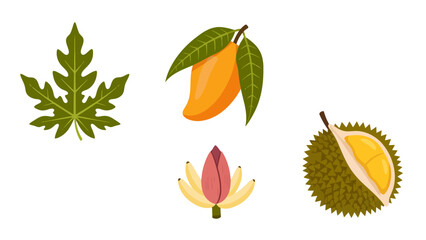Vibrant tropical fruits and leaves collection papaya leaf ripe mango banana blossom spiky durian.
