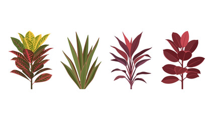 Vibrant collection of four stylized tropical houseplant illustrations with diverse colorful foliage.