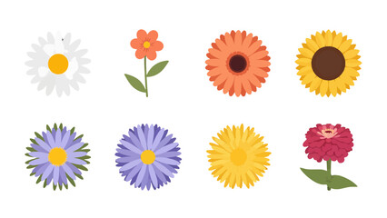 Vibrant flat design vector flower collection daisy sunflower gerbera aster and zinnia illustrations.