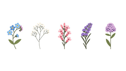 Vibrant flat design floral illustrations blue forgetmenots delicate babys breath pink bell flowers purple lavender and lilac verbena.