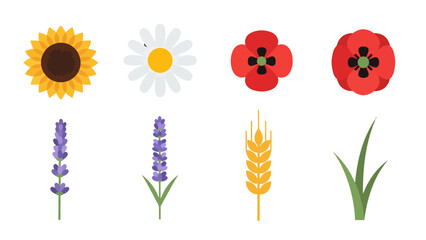 Vibrant flat design vector collection of flowers and plants sunflower daisy poppy lavender wheat grass.