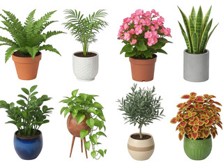 Fototapeta premium Collection of potted plants isolated on transparent background