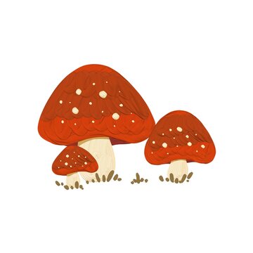 Three cute chubby red mushroom illustration isolated on white background 