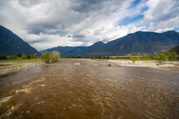 Chulyshman river flowing near Kyrsai bay at southern end of Teletskoye lake in Altai Russia Mountain watercourse in remote natural valley
