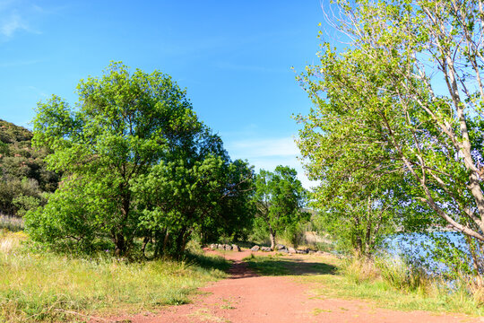 A sunlit red dirt path winds along the shore of Lac de Salagou, bordered by lush green trees and grasses under a vibrant blue sky. The tranquil scene features natural textures and a peaceful lakeside