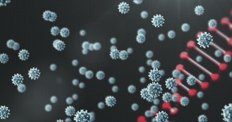 Animation of dna strand spinning over covid 19 cells falling on dark background - Powered by Adobe