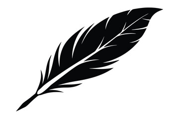 Fototapeta premium feather silhouette line art vector illustration with a white background