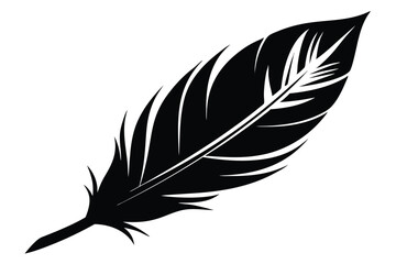 Obraz premium feather silhouette line art vector illustration with a white background