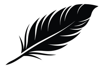 Fototapeta premium feather silhouette line art vector illustration with a white background