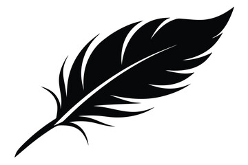 Fototapeta premium feather silhouette line art vector illustration with a white background