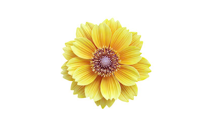 Bright Yellow Flower with Textured Petals