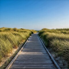 Obraz premium boardwalk in the dunes | Coastal Boardwalk Path Through Beach Dunes