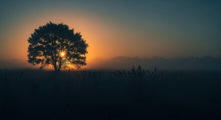 Fototapeta premium Serene Sunset Silhouette of a Solitary Tree