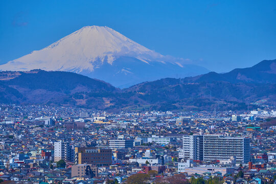 春の神奈川県秦野市寿町,栄町,桜町,本町,曽屋,富士山方面を見る
