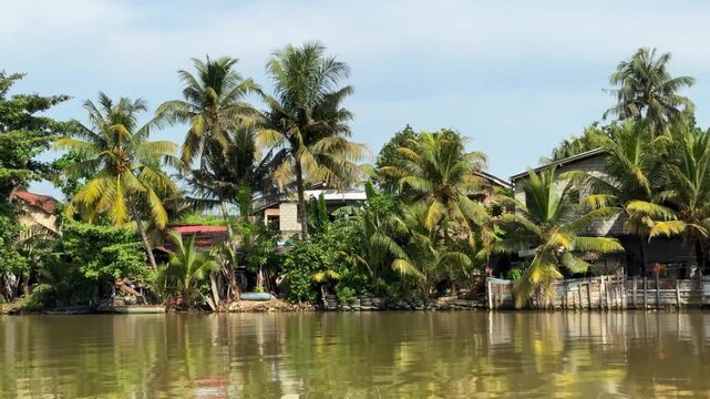 The Nilwana Ganga River in Sri Lanka