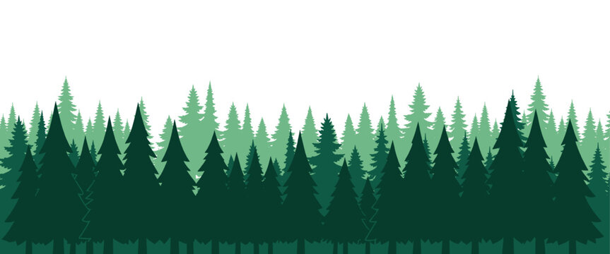 Evergreen pine forest silhouette isolated on transparent background ideal for overlays borders posters banners and graphic design. Forest silhouette, vector illustration.