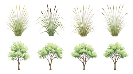Obraz premium Vector illustration collection of tall grasses and deciduous trees showing diverse foliage, seed heads, and branch structures for botanical studies, ecological design, landscape planning, environmenta