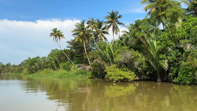 The Nilwana Ganga River in Sri Lanka