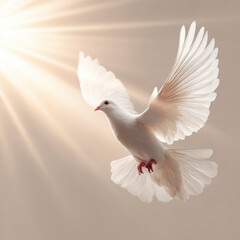 Fototapeta premium White Dove of Peace in Divine Light – Generative AI