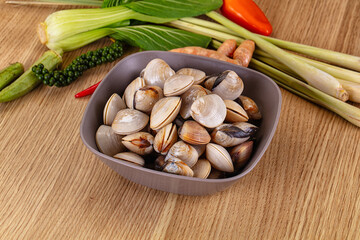 Raw fresh wild clams mollusc © Andrei Starostin
