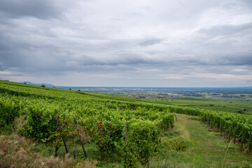 Alsace vineyard landscape under cloudy sky overlooking rural France