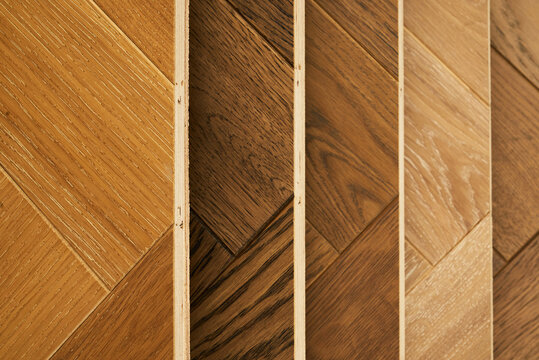 Different types of hardwood flooring samples arranged in a line