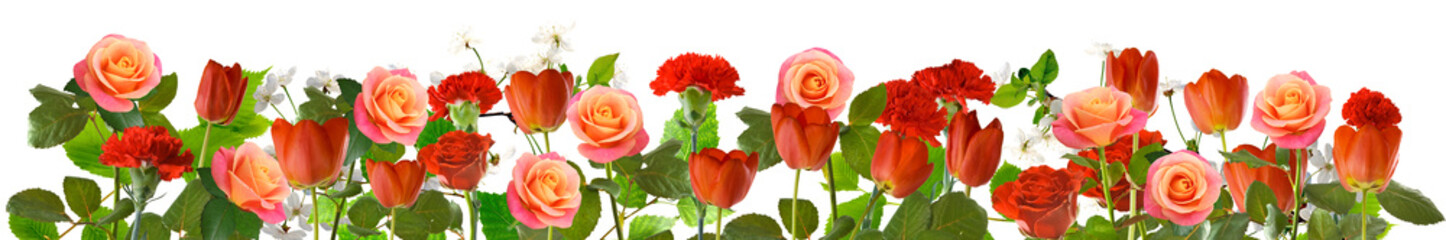 Fresh flowers in various colors arranged in a neat line isolated on transparent background, PNG file